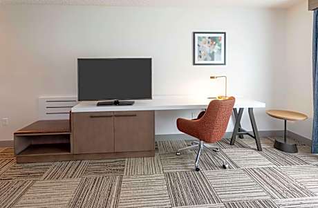 1 King 1 Bedroom Suite W/Sofabed