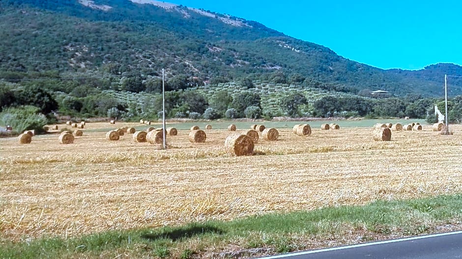 B&B Villa Di Bartolomeo