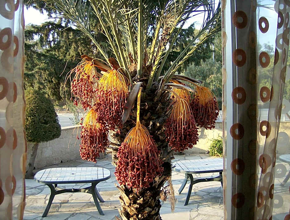 Rantzo Holiday Apartments