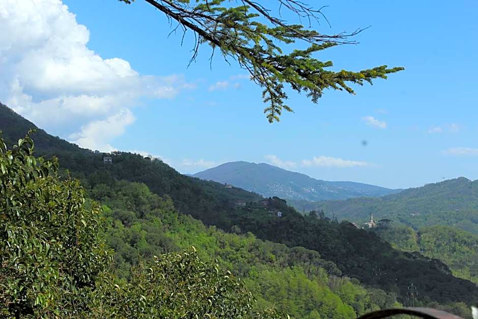 Locanda del Sale Affittacamere