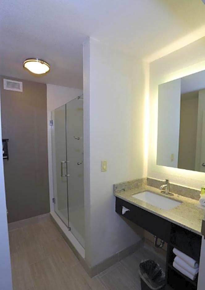 Holiday Inn Express Brentwood-South Cool Springs By IHG