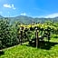 Albergo Ristorante La Selva