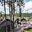 Mountain View Lodge & Cabins