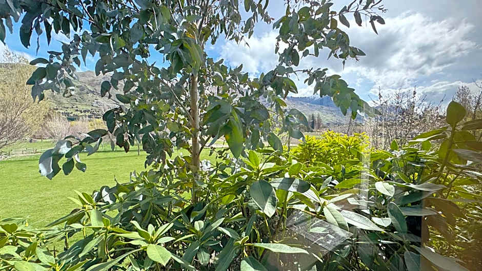 Alpine View Lodge