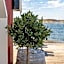 TanumStrand SPA & Resort