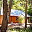 Forest Rise Chalets and Lodge