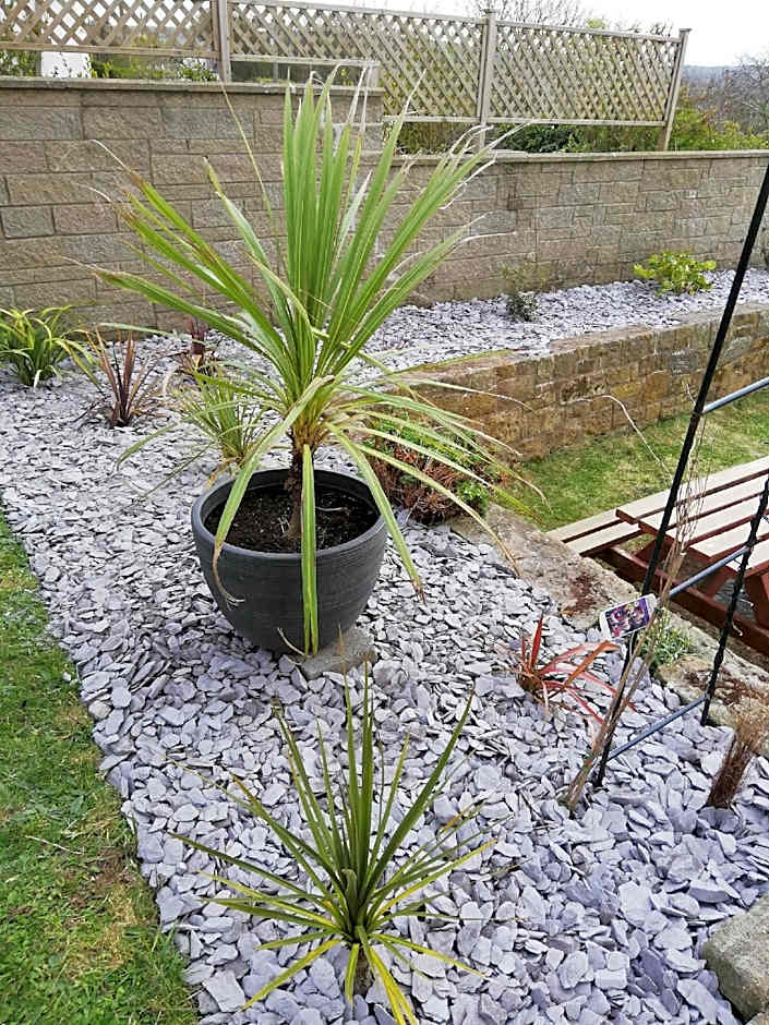 The Captain Cook Inn