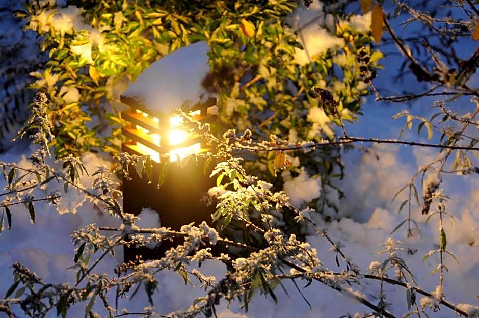 Apparthotel Gartenresidence Nalserhof