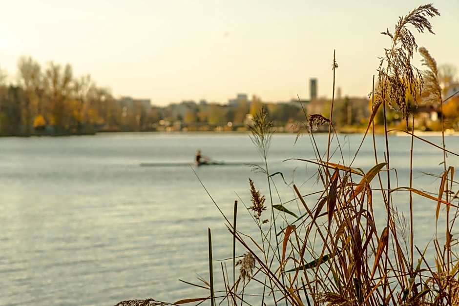 The rooms Bed & Breakfast