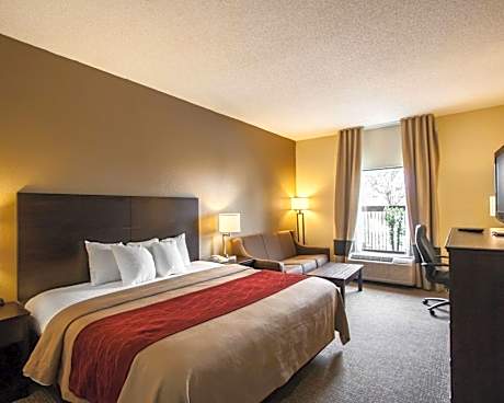 1 King Bed Nonsmoking Accessible