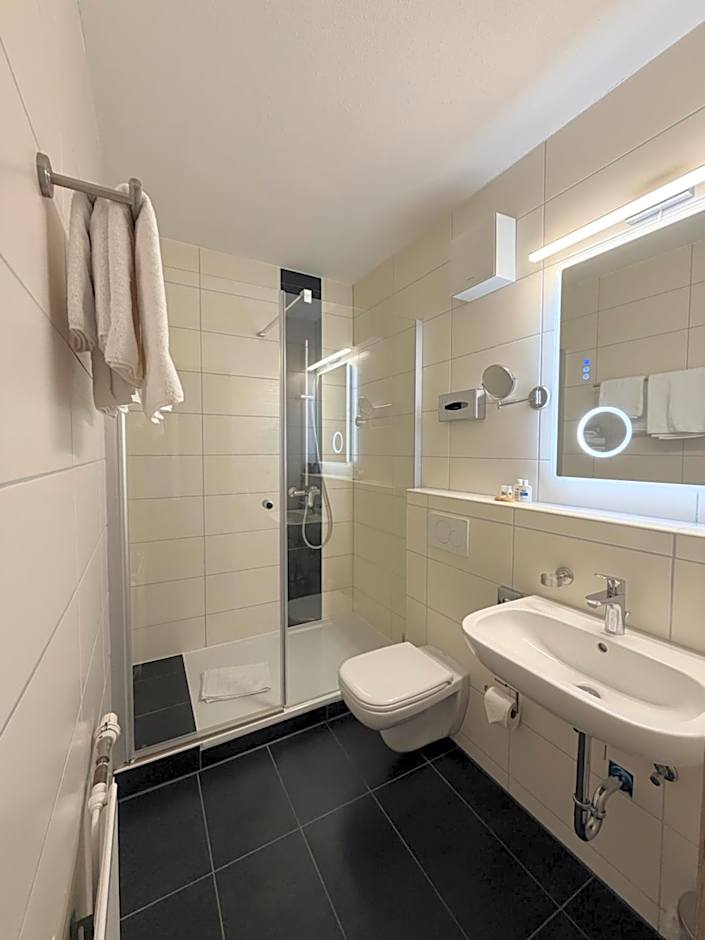 Boutique Hotel zum Ziel - Modern Stay near Basel