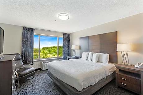 Suite with Sea View