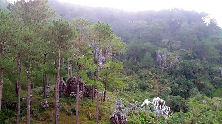 Kanip Aw Pines View Lodge