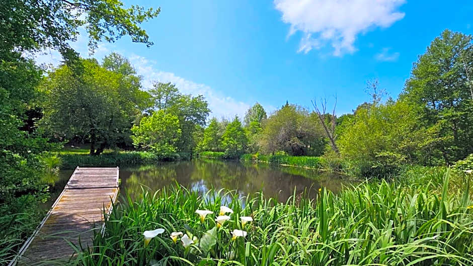 Château Belle Epoque - Chambres d'Hôtes & Gîtes