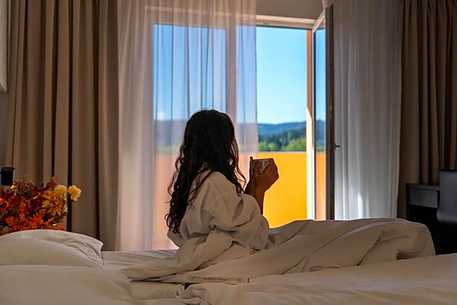 Wellness Hotel Frymburk