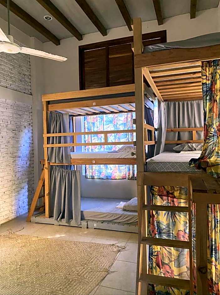 La Palmera Hostel