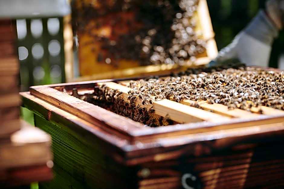 Landgut am Pößnitzberg