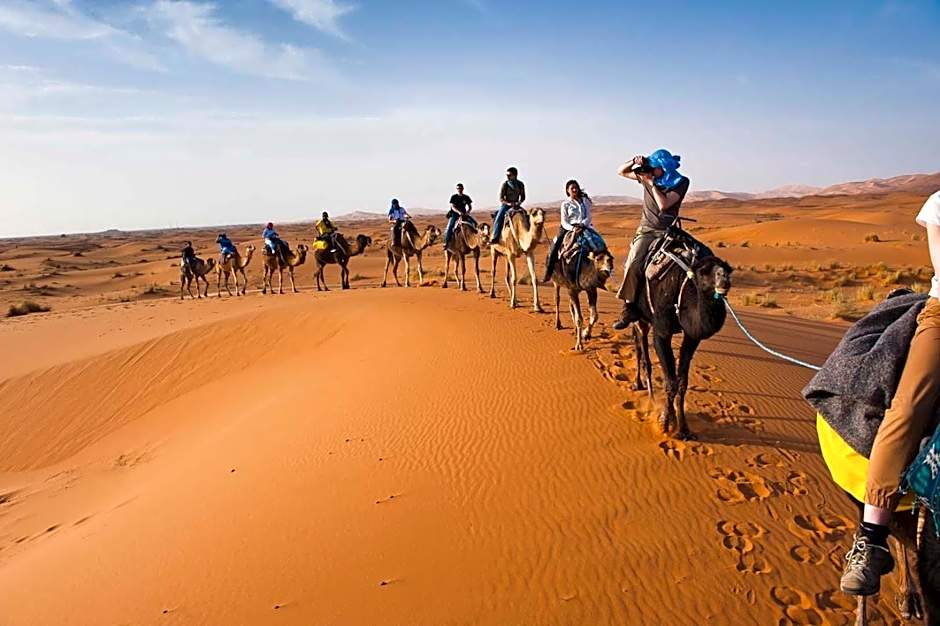 Sahara wellness camp