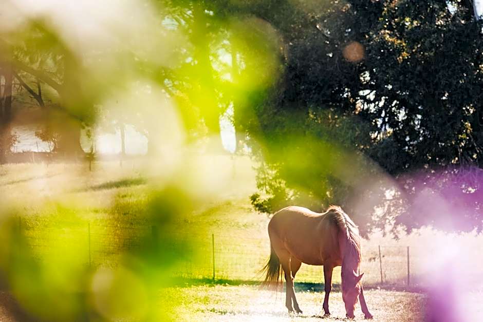 Dalblair Bed & Breakfast