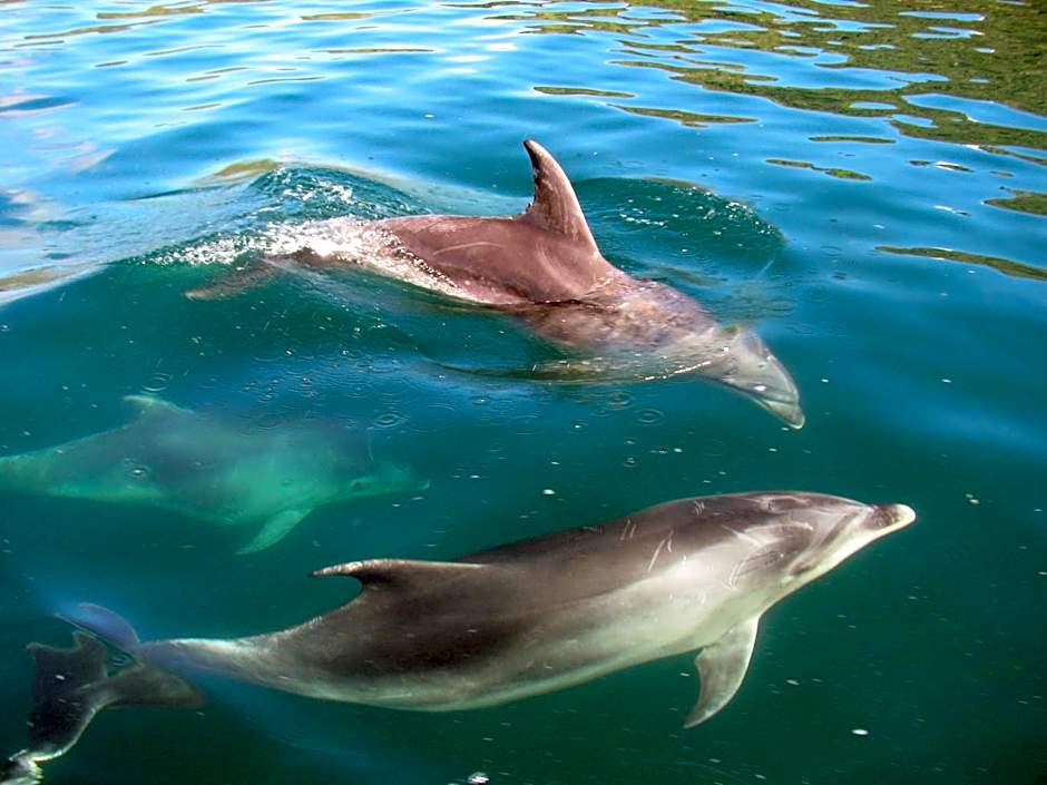 The Lodge At Te Rawa