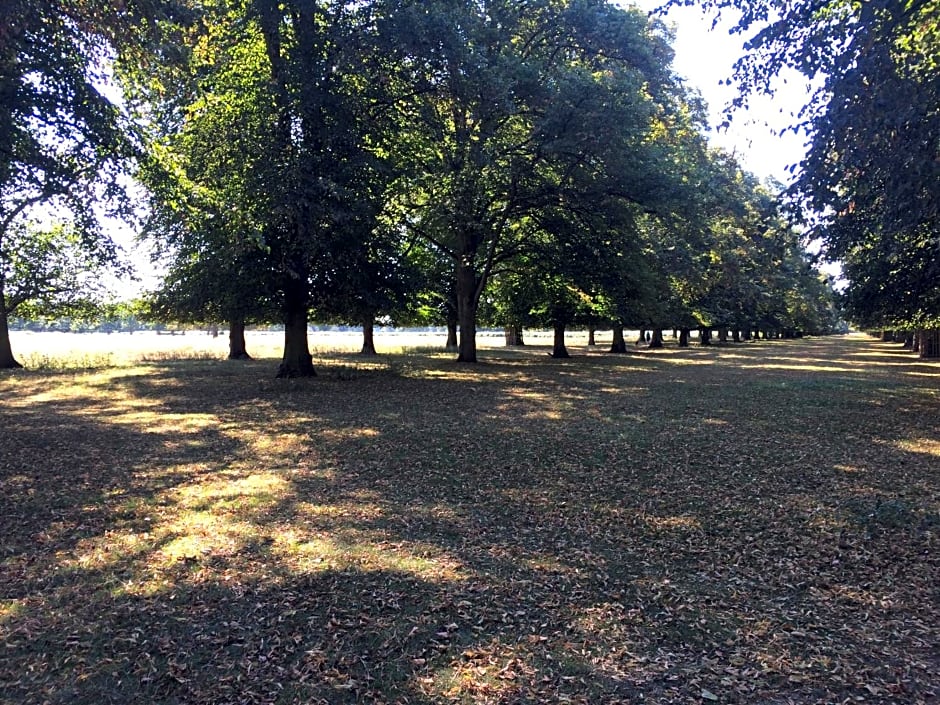 Old Station Gardens – London