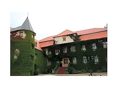 Stadtschloß Hecklingen***