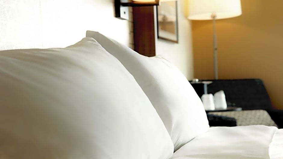 Holiday Inn Hotel & Suites Overland Park-Convention Center