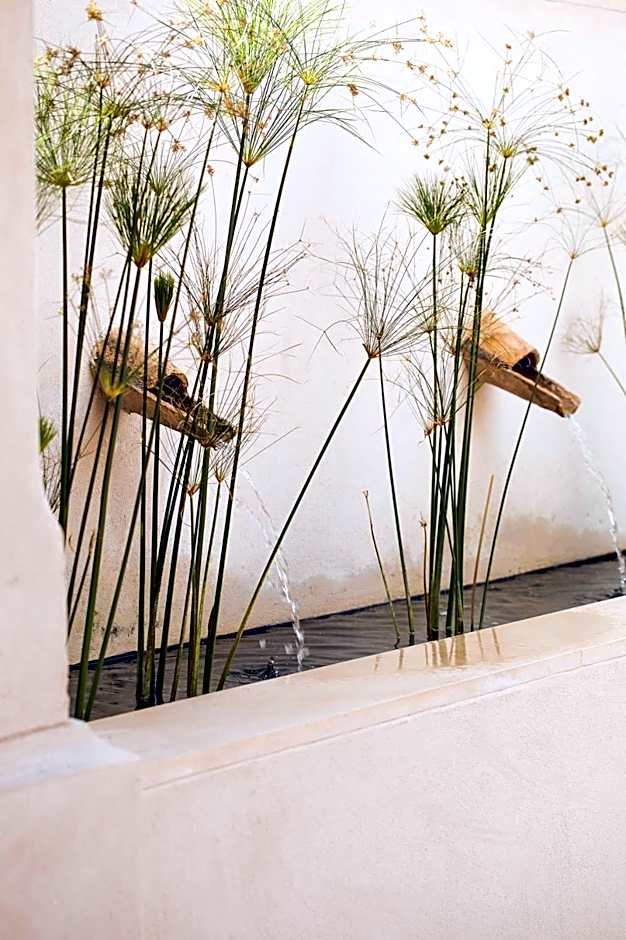 La Dehesa de Don Pedro