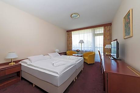 Comfort Double or Twin Room with Wellness Access