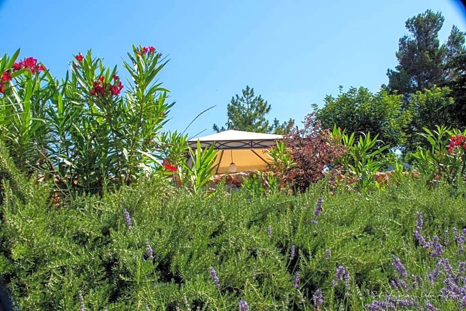 Villa Mascitti B&B Tortoreto via XX settembre n27 Vecchio Forte Alba Adriatica Via Vecchio Forte n 64
