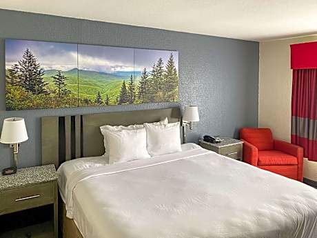1 Double Bed, Nonsmoking, Accessible