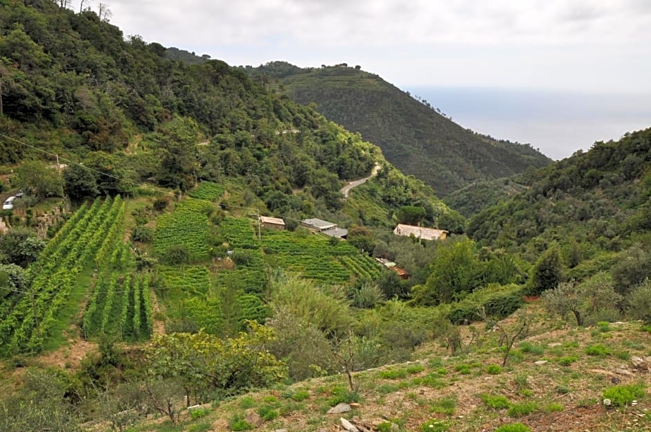 Agriturismo Costa di Campo