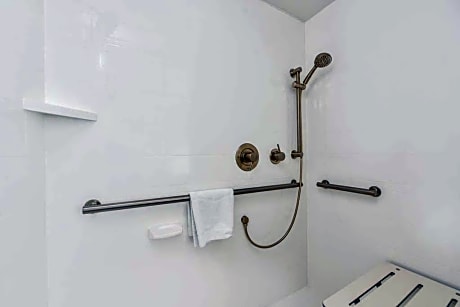 1 Double Mobility Accessible With Ri Shwr Ns