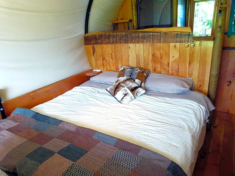 Wacky Stays - unique farm-stay glamping rentals, FREE animal feeding tours