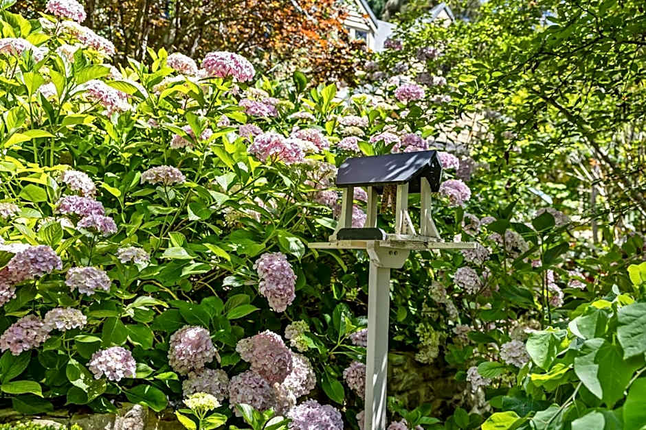 FROGWELL HOLLOW immerse into an idyllic fairytale