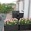 Amalie Bed and Breakfast & Apartments