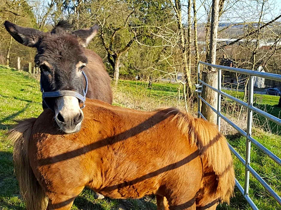 Sunhill Appartments, klimatisiert