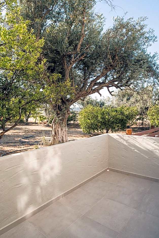 Aesthisis Sensational Accommodation