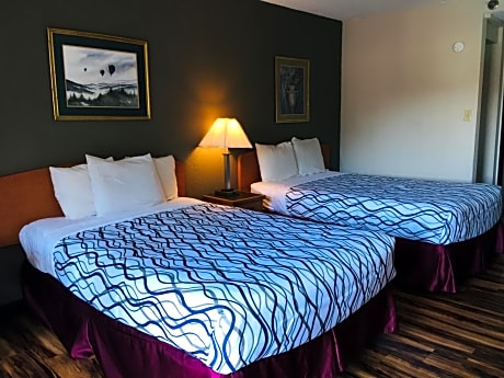 Standard Room with Two Beds - Non-Smoking