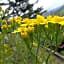 A1 Girasole B&B