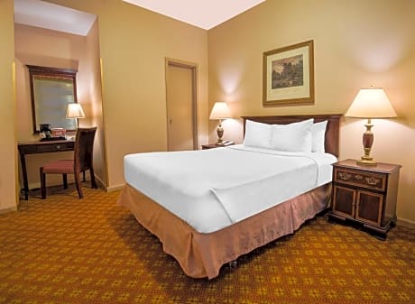 Bronze, 1 Queen Bed