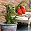 Maison at C Boutique Hotel & Spa Seminyak