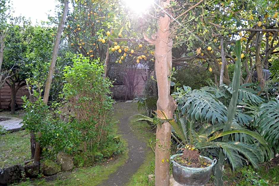 Piccolo Tirreno Hotel Residence