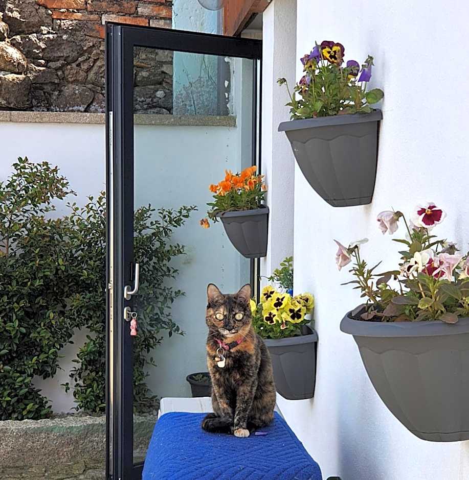 Alvorada Medieval, AL