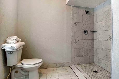1 King Bed, Suite, Nonsmoking, Accessible