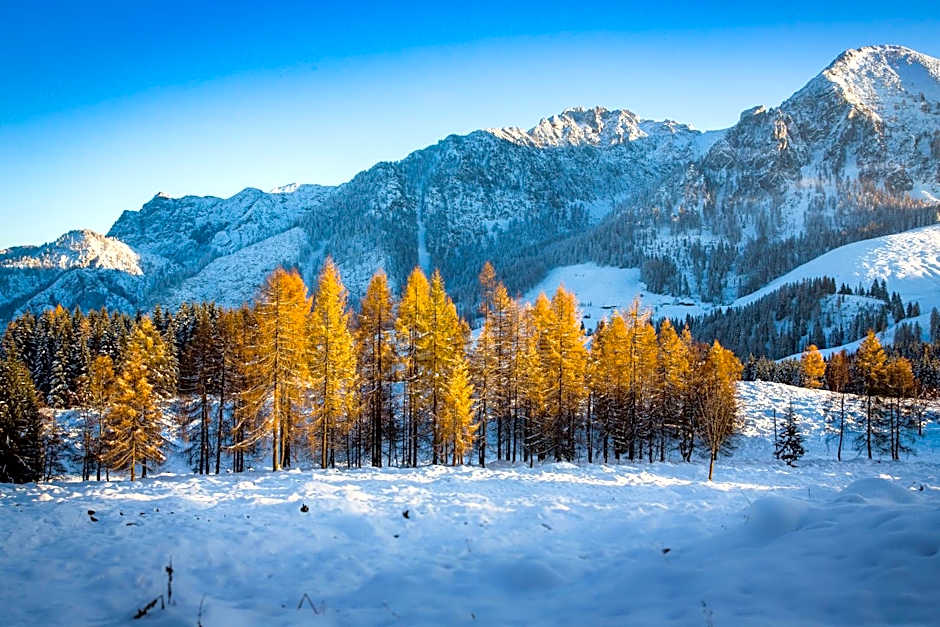Almhaus Alpenrose Postalm