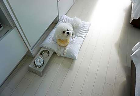 Twin Room - Pet Friendly
