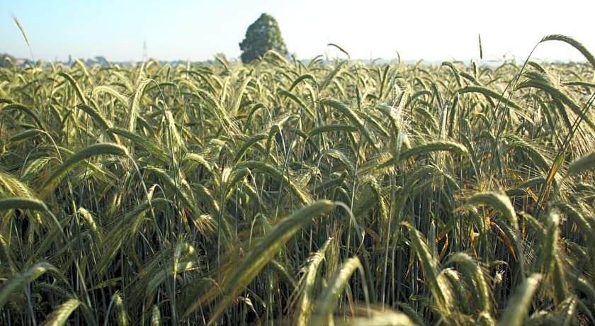 Boutique hotel - Sun House Banovci