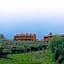 Casa Lari