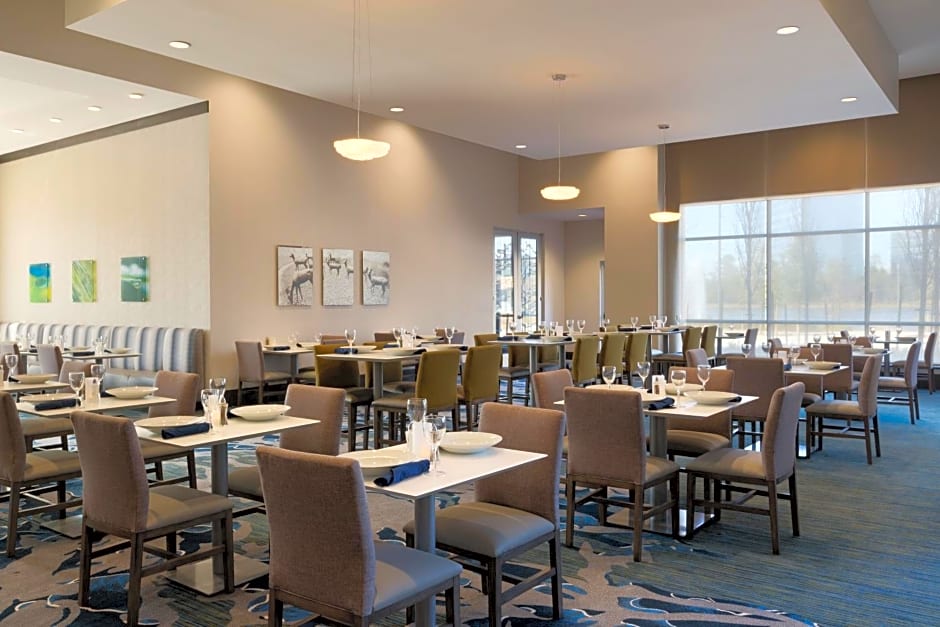 Embassy Suites by Hilton The Woodlands